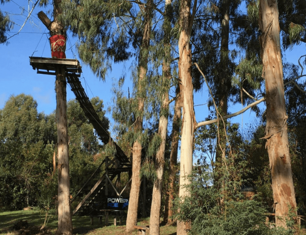 Canopy Kupange 1