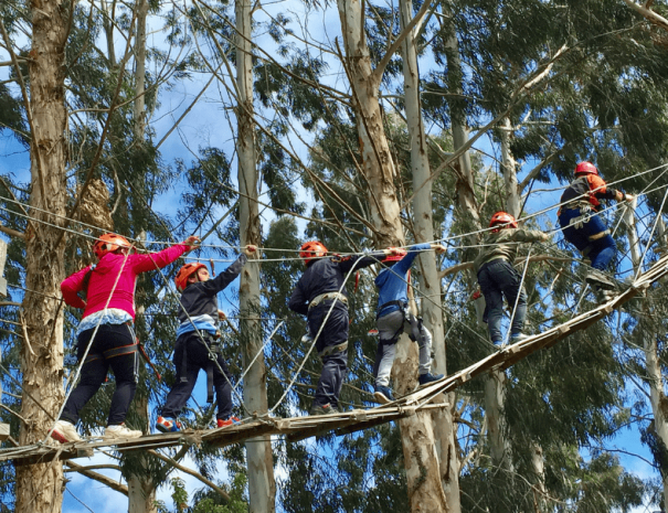 Canopy Kupange 3
