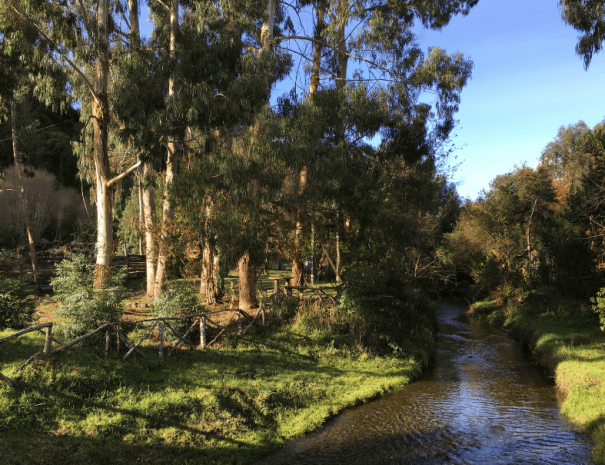 Naturaleza Kupange 1
