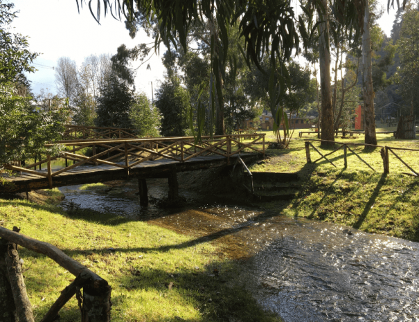 Naturaleza Kupange 2