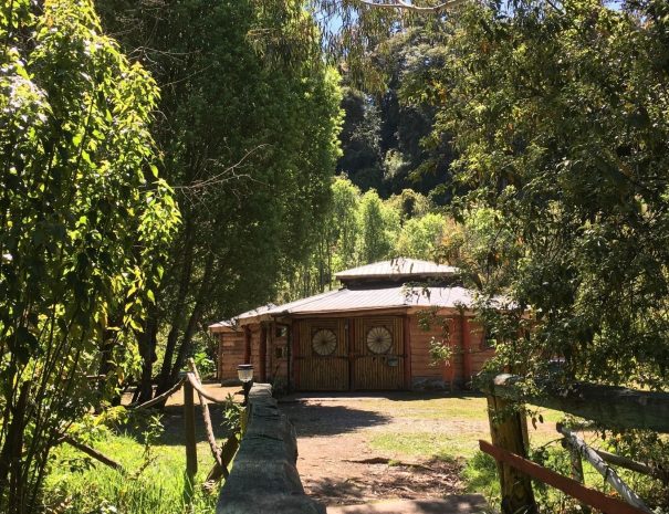 Ruka Kupange (3)-min